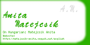 anita matejcsik business card